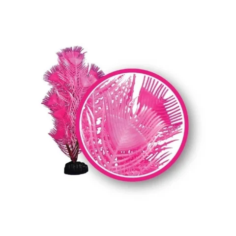Pink Princess Feather - Weco Plant