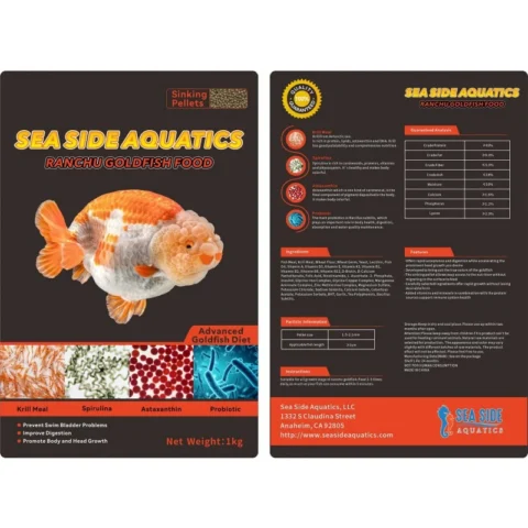 Premium Goldfish Ranchu Sinking 1KG - Sea Side Aquatics