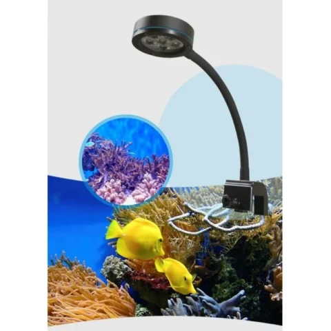 Q2-B Blue LED Light