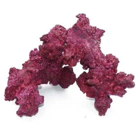 Real Reef Medium Size Arches 4PCS Box (E-20)