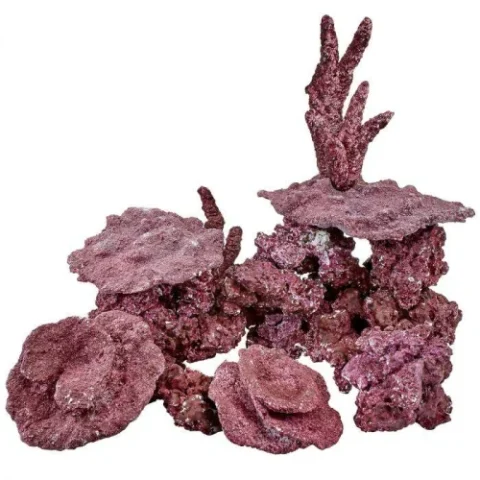 Real Reef Mini Reef Box (Random 12-14 pcs)