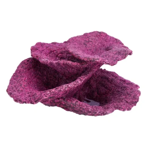 Real Reef Plate Coral Cups 10pcs Box (D-20)