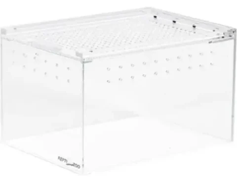 Reptizoo Acrylic Case 2.5mm Thick, White Base, 7.9"x5.9"x3.9" (ACR10)
