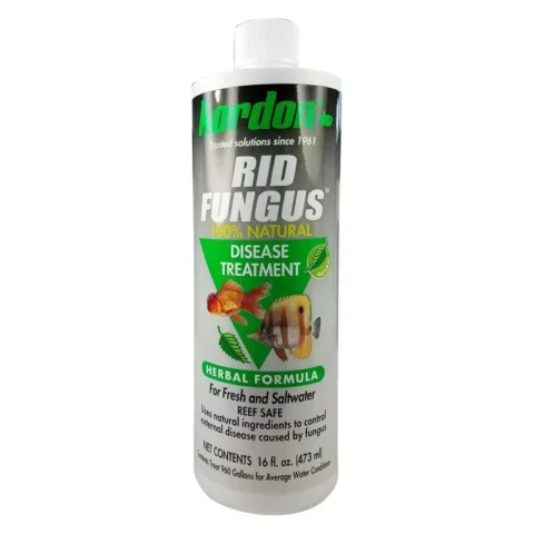 Rid Fungus 16oz - Kordon