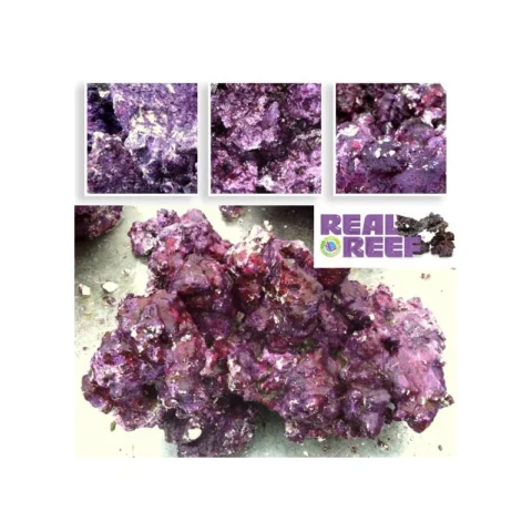 Rock (55 lb) Box - Medium - Real Reef