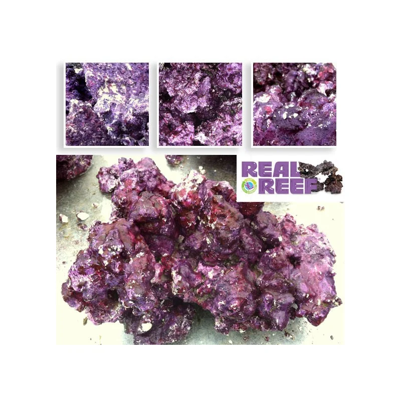 Rock (55 lb) Box - Medium - Real Reef