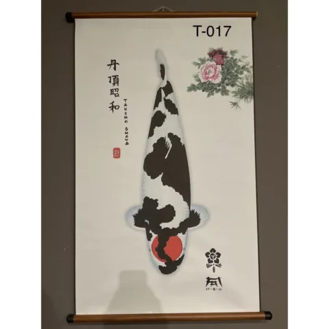 T017 - Tancho Showa