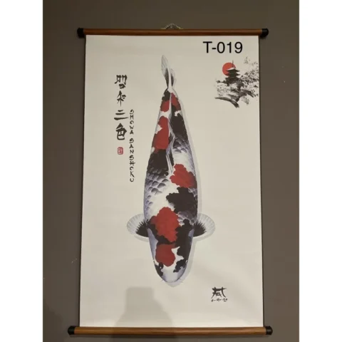 T019 - Showa
