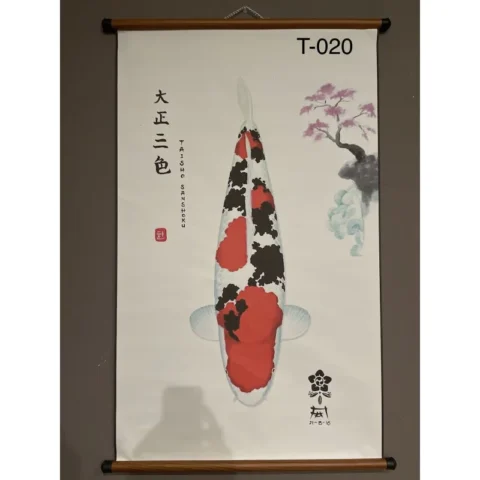 T020 - Sanke