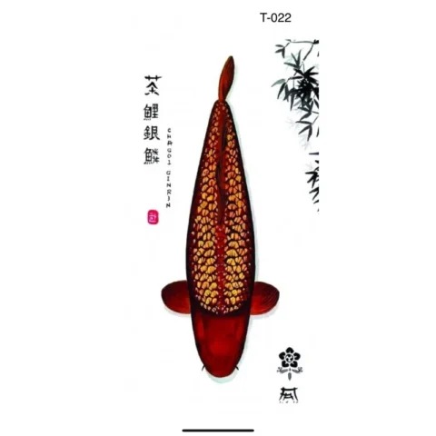 T022 - Chagoi GinRin