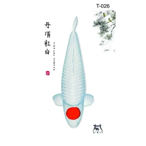 T026 - Tancho Kohaku