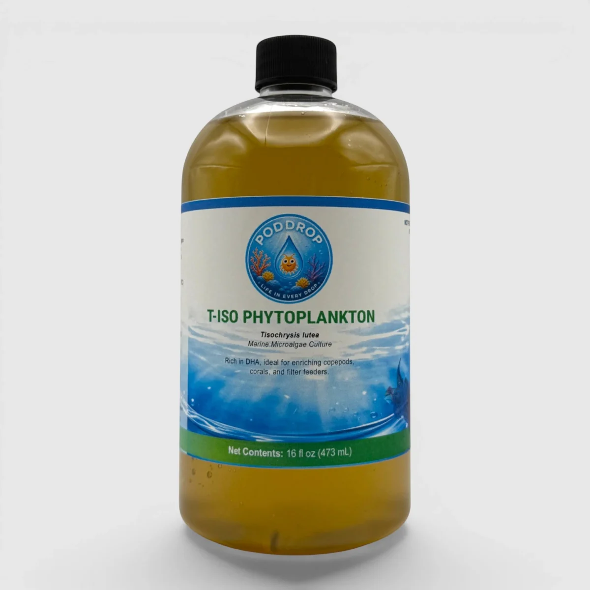 Tisochrysis lutea Phytoplankton Culture