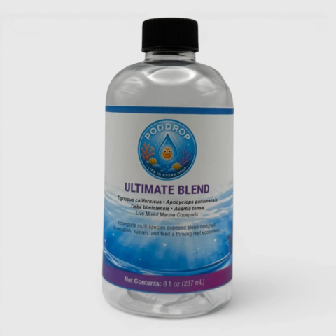 Ultimate Copepod Blend - Tigriopus + Apocyclops + Tisbe