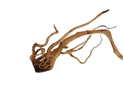 Wood Root for Terrarium 41-50cm (Per Pcs)