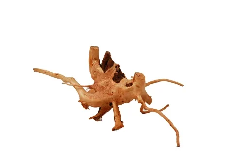 Wood Root Medium 40-60cm (Per Lbs)