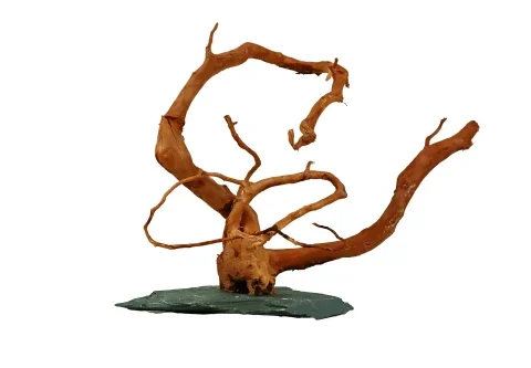 Wood Root with Slate Small 20-30cm (Per Piece)