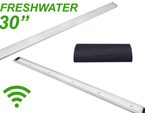 Zetlight Lancia 30" LED Plant w/WIFI