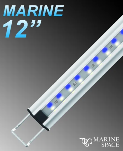 Zetlight MarineSpace 12" LED w/ Switch Marine
