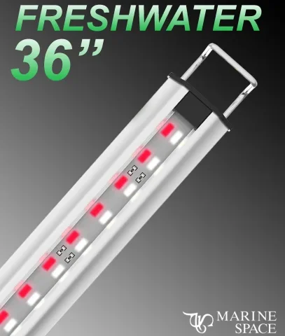 Zetlight MarineSpace 36" LED w/ Switch Freshwater