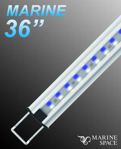 Zetlight MarineSpace 36" LED w/ Switch Marine